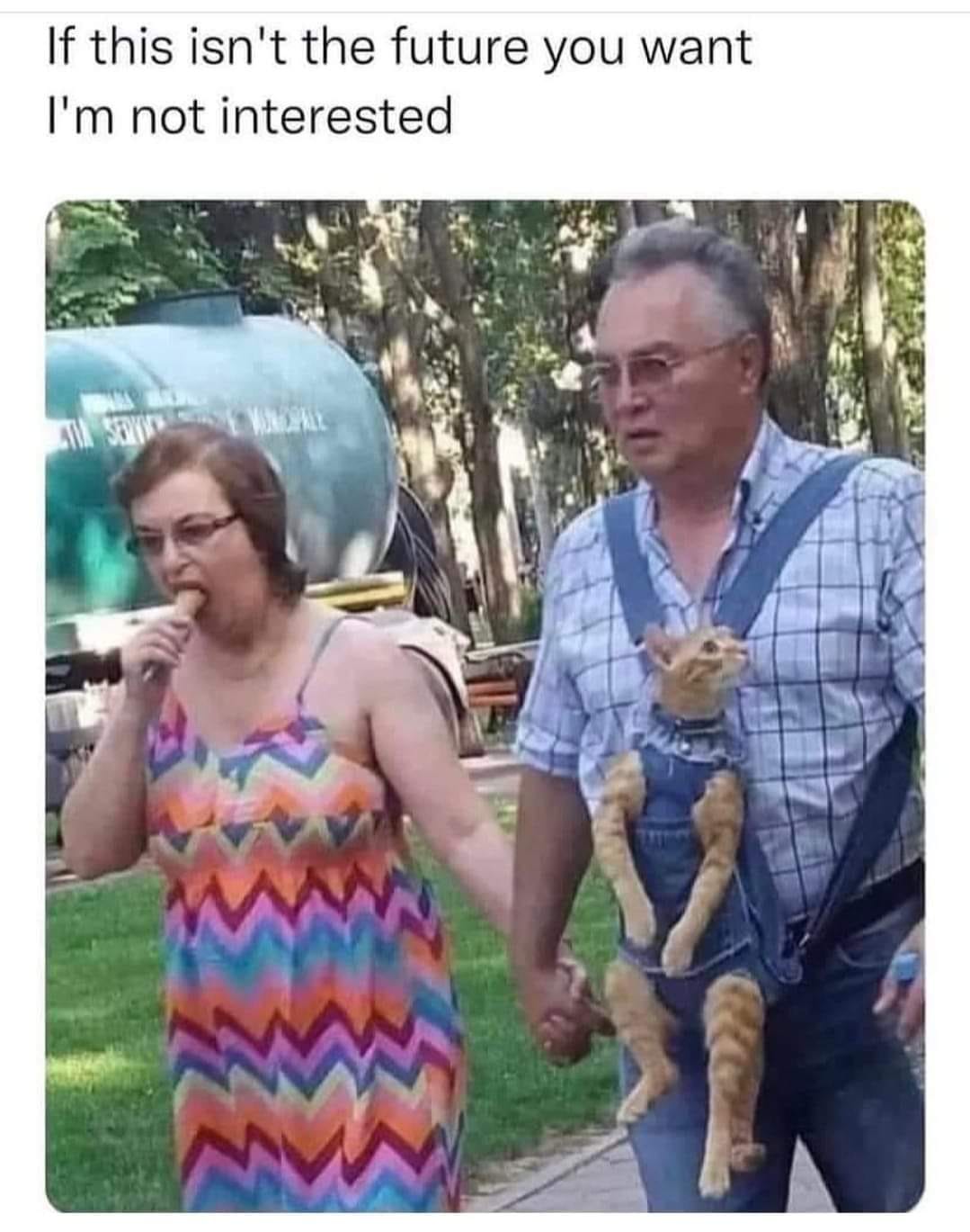 This meme is a humorous image of a couple walking together, with the woman eating a snack and the man carrying a cat in a strange, makeshift "pouch" made from his overalls. The image is captioned "If this isn't the future you want, I'm not interested." The joke is that the man is so committed to his relationship that he's willing to carry a cat in his clothes, even if it's not the most practical or comfortable solution.